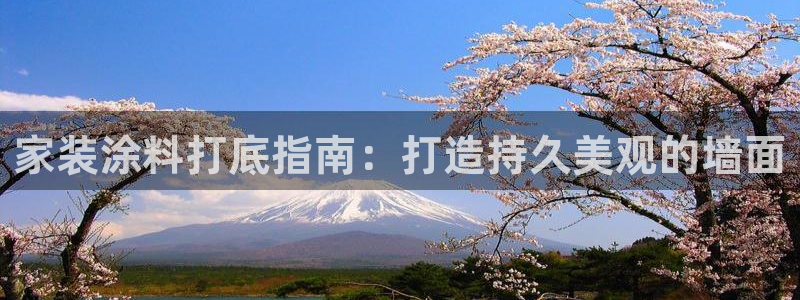 和记官方网站：家装涂料打底指南：打造持久美观的墙面