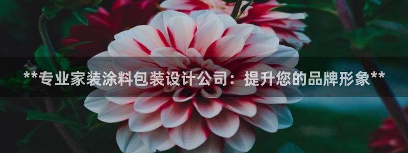 青岛大生和记餐饮管理有限公司：**专业家装涂料包装设计公司：提升您的品牌形象**
