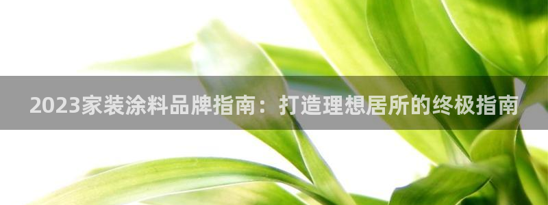 和记官网 公司：2023家装涂料品牌指南：打造理想居所的终极指南