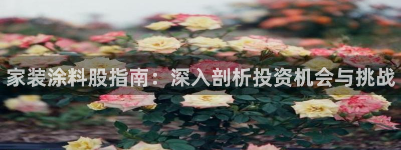 和记官网[中国]官方网站：家装涂料股指南：深入剖析投资机会与挑战