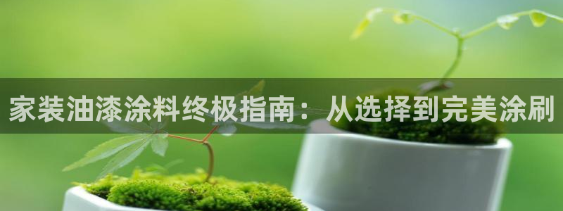 和记AG网站：家装油漆涂料终极指南：从选择到完美涂刷