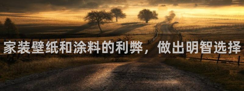 和记官方直营：家装壁纸和涂料的利弊，做出明智选择