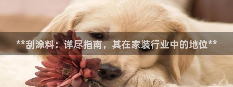 和记国际客服：**刮涂料：详尽指南，其在家装行业中的地位**