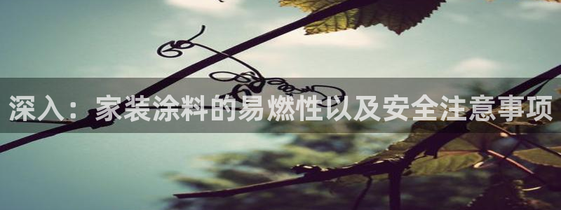 官方和记国际平台登录：深入：家装涂料的易燃性以及安全注意事项