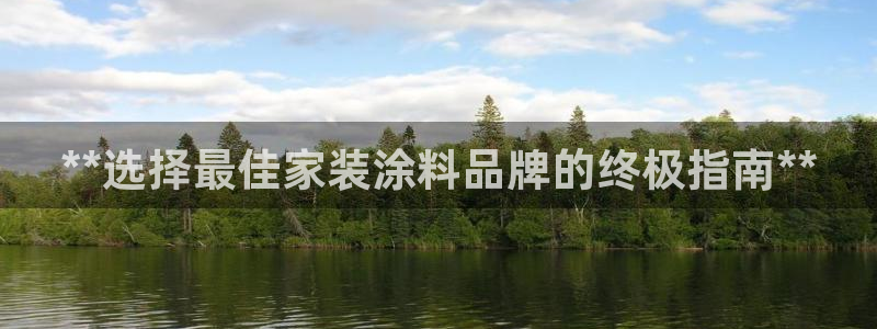 和记官网首页：**选择最佳家装涂料品牌的终极指南**