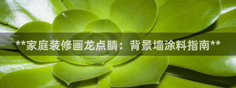 和记国际电讯市值：**家庭装修画龙点睛：背景墙涂料指南**
