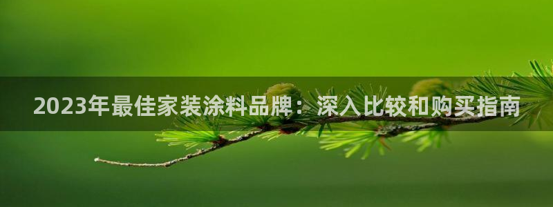 和记ag登录：2023年最佳家装涂料品牌：深入比较和购买指南