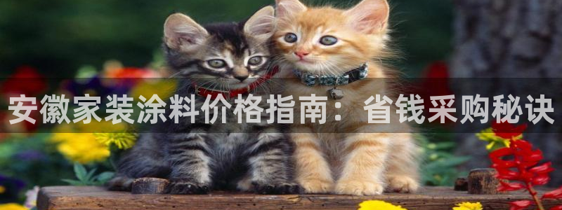 和记旗舰厅：安徽家装涂料价格指南：省钱采购秘诀