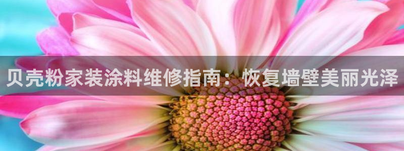 和记pc：贝壳粉家装涂料维修指南：恢复墙壁美丽光泽