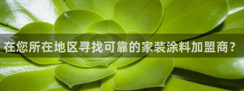 和记(福建)商贸有限公司：在您所在地区寻找可靠的家装涂料加盟商？