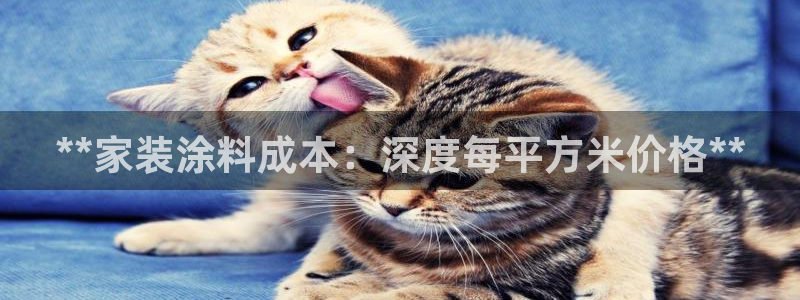 和记ag登录：**家装涂料成本：深度每平方米价格**