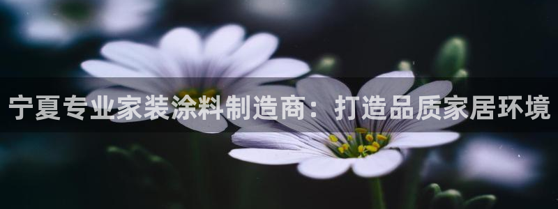 和记hj：宁夏专业家装涂料制造商：打造品质家居环境