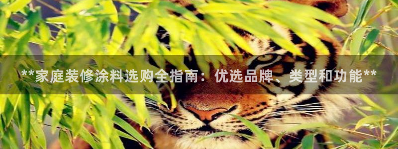 和记 首页：**家庭装修涂料选购全指南：优选品牌、类型和功能**