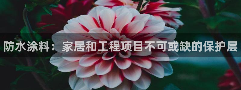 和记ag捕鱼害死多少人：防水涂料：家居和工程项目不可或缺的保护层