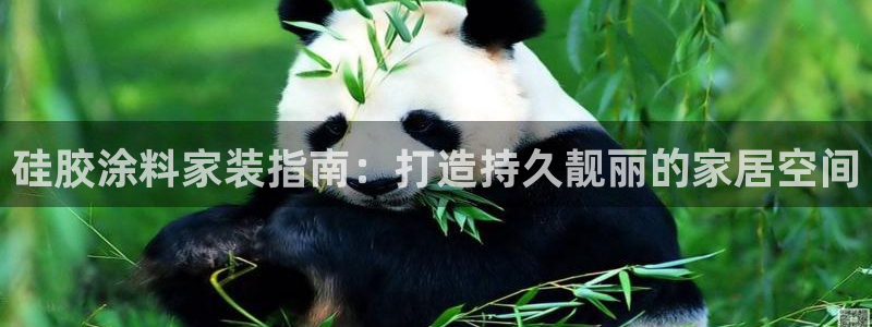 和记网页版登陆：硅胶涂料家装指南：打造持久靓丽的家居空间