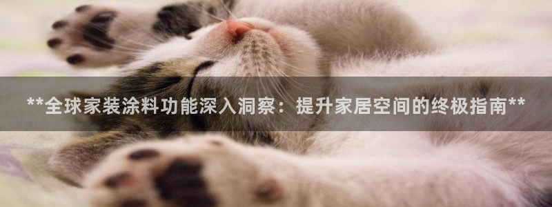 和记ag登录：**全球家装涂料功能深入洞察：提升家居空间的终极指南**