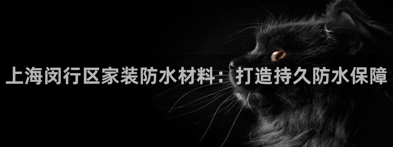 下载和记app：上海闵行区家装防水材料：打造持久防水保障