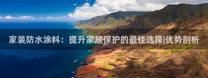 青岛大生和记餐饮管理有限公司：家装防水涂料：提升家居保护的最佳选择|优势剖析