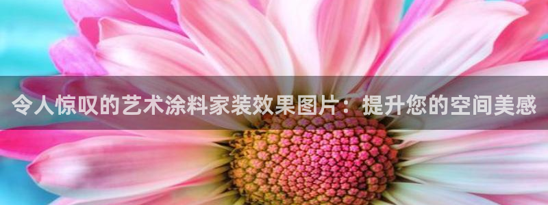 和记官网[中国]官方网站：令人惊叹的艺术涂料家装效果图片：提升您的空间美感
