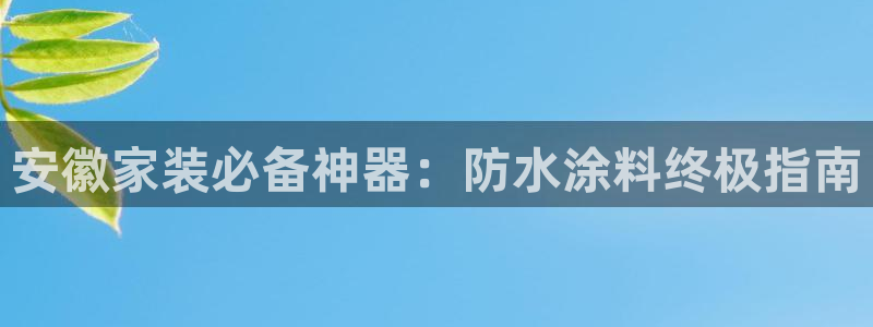 和记平台登录：安徽家装必备神器：防水涂料终极指南