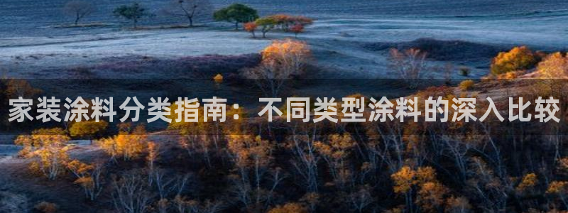 和记国际客服：家装涂料分类指南：不同类型涂料的深入比较