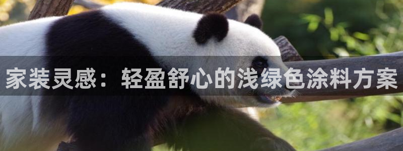 和记广告女主角：家装灵感：轻盈舒心的浅绿色涂料方案