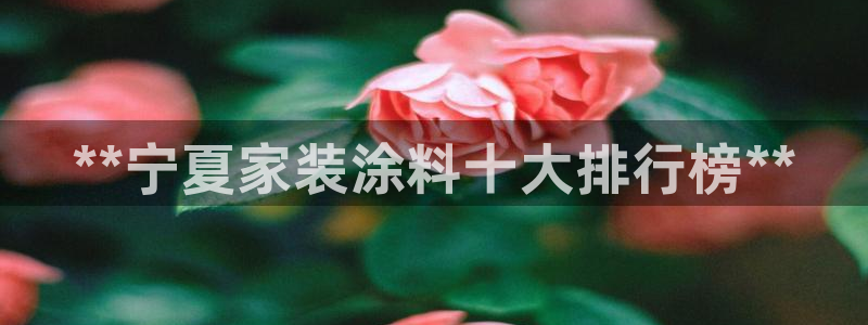青岛大生和记餐饮管理有限公司：**宁夏家装涂料十大排行榜**