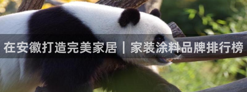 和记平台下载：在安徽打造完美家居｜家装涂料品牌排行榜