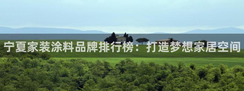 和记ag旗舰厅：宁夏家装涂料品牌排行榜：打造梦想家居空间