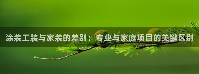 和记h88游戏：涂装工装与家装的差别：专业与家庭项目的关键区别