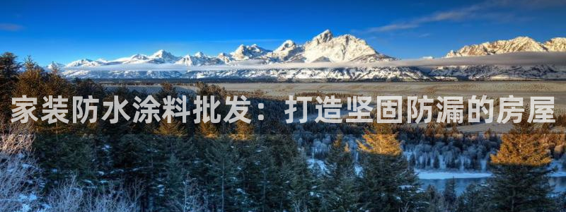 和记登陆：家装防水涂料批发：打造坚固防漏的房屋