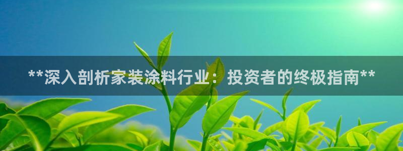 和记官方网址：**深入剖析家装涂料行业：投资者的终极指南**