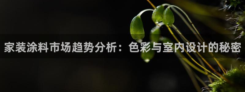 深圳和记科技有限公司：家装涂料市场趋势分析：色彩与室内设计的秘密