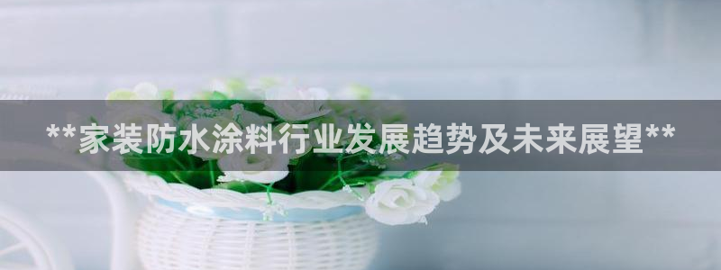 和记ag网址：**家装防水涂料行业发展趋势及未来展望**