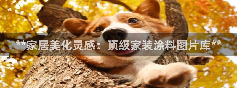 和记 首页：**家居美化灵感：顶级家装涂料图片库**