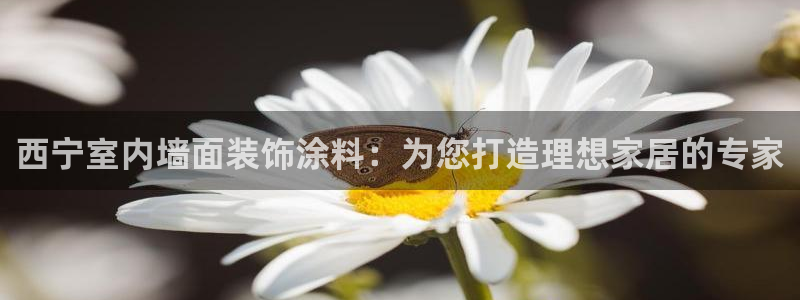 和记(福建)商贸有限公司：西宁室内墙面装饰涂料：为您打造理想家居的专家