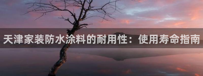 和记港口：天津家装防水涂料的耐用性：使用寿命指南