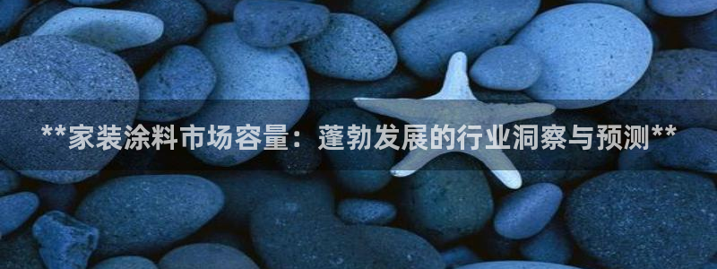 和记广告女主角：**家装涂料市场容量：蓬勃发展的行业洞察与预测**