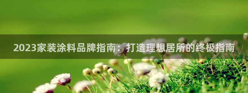 和记旗舰厅：2023家装涂料品牌指南：打造理想居所的终极指南