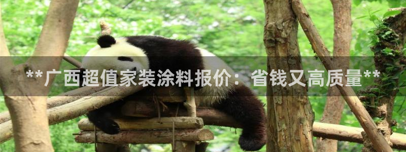 和记pc：**广西超值家装涂料报价：省钱又高质量**