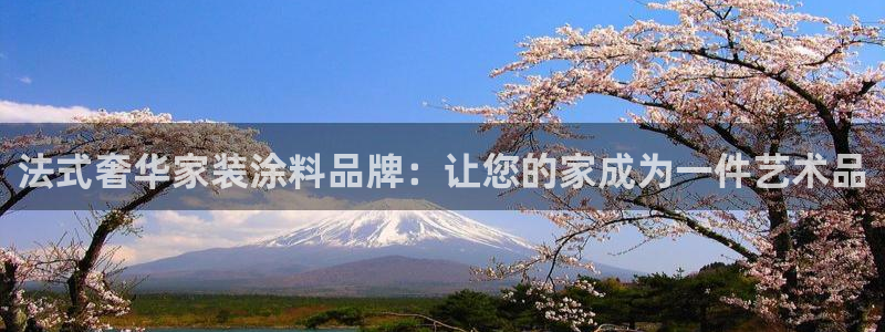 江苏和记数码科技有限公司：法式奢华家装涂料品牌：让您的家成为一件艺术品