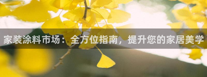和记官方直营：家装涂料市场：全方位指南，提升您的家居美学
