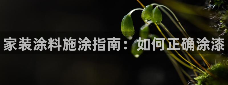 和记登陆：家装涂料施涂指南：如何正确涂漆
