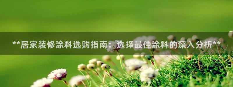 和记 官网：**居家装修涂料选购指南：选择最佳涂料的深入分析**