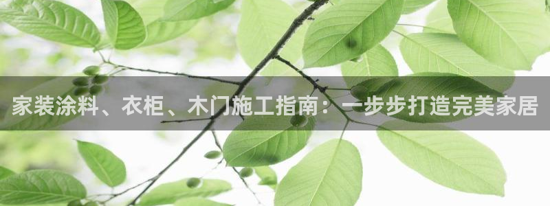 和记平台怎么样：家装涂料、衣柜、木门施工指南：一步步打造完美家居