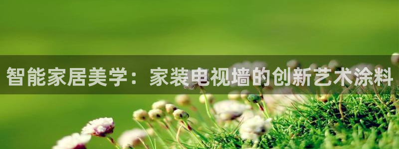 上海和记餐饮有限公司：智能家居美学：家装电视墙的创新艺术涂料