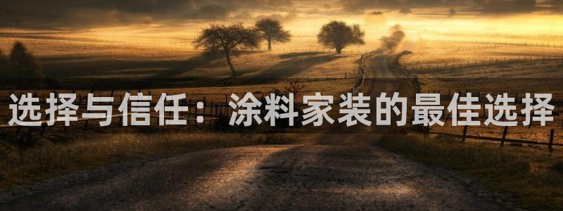 和记h8：选择与信任：涂料家装的最佳选择