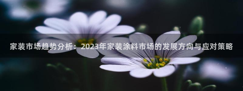 和记平台登陆：家装市场趋势分析：2023年家装涂料市场的发展方向与应对策略