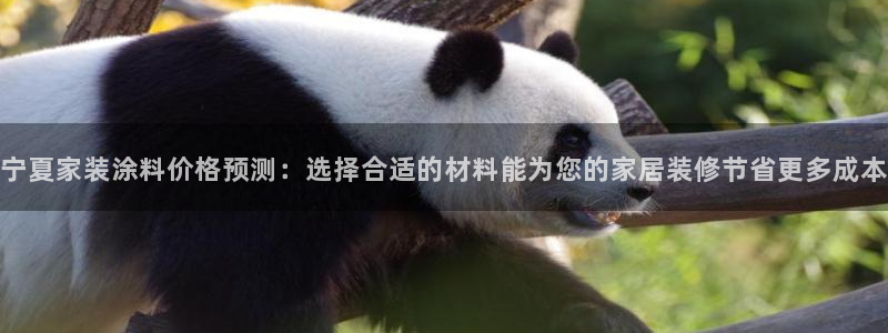 和记官方平台：宁夏家装涂料价格预测：选择合适的材料能为您的家居装修节省更多成本