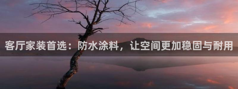 和记平台：客厅家装首选：防水涂料，让空间更加稳固与耐用